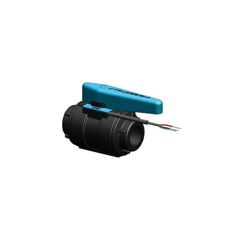 TRUDESIGN Kugelventil überwachbar Nylon/GFK 2' SB-Pack
