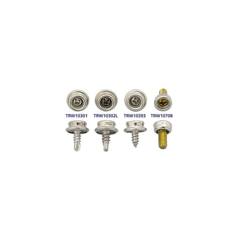 DOT-DURABLE Zapfen MsNi mit Blechschr. A2 4,2x10mm 100St.