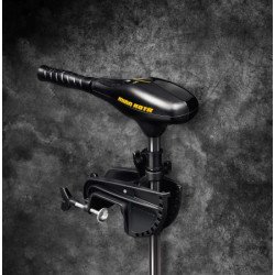 MINN KOTA Außenborder Endura C2 30 12V 360W 13,6kg
