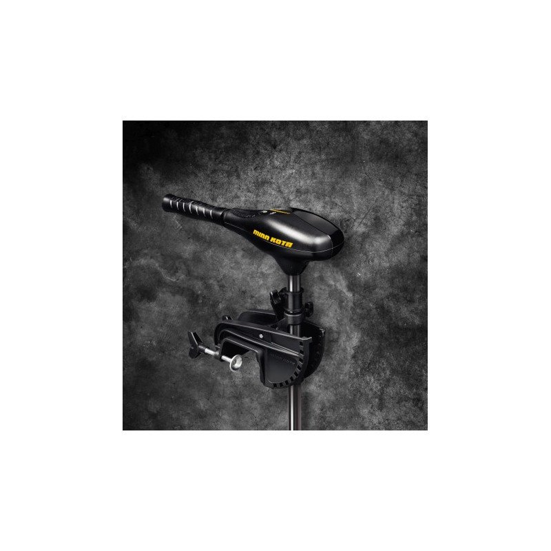 MINN KOTA Außenborder Endura C2 30 12V 360W 13,6kg