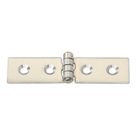 Scharnier AISI304     80x20mm