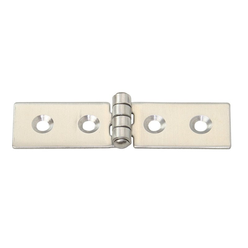 Scharnier AISI304     80x20mm