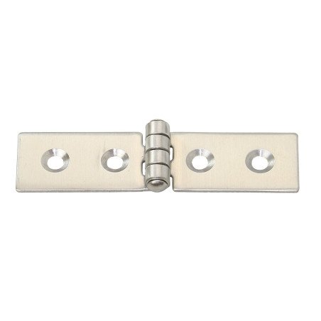 Scharnier AISI304     80x20mm