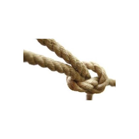GLEISTEIN GeoTwist Hempex PP 12mm hanfbeige