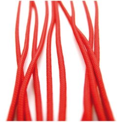 GLEISTEIN GeoOne GeoProp PP 8-fach 2mm rot 250m