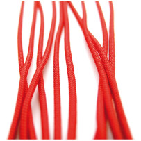 GLEISTEIN GeoOne GeoProp PP 8-fach 2mm rot 250m