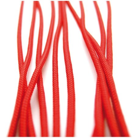 GLEISTEIN GeoOne GeoProp PP 8-fach 2mm rot 250m