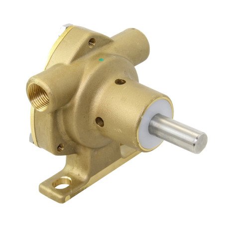 Pumpe Bronze BG20 3/8'