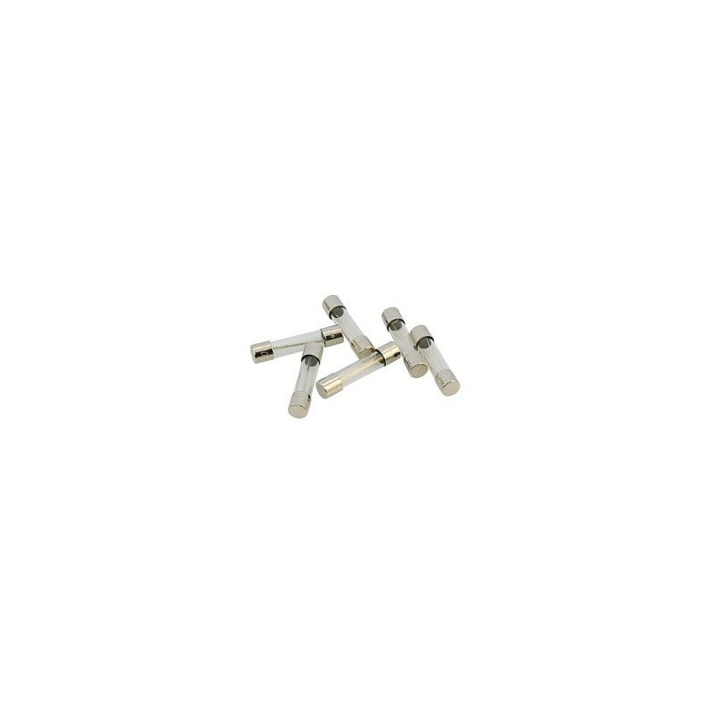 Feinsicherung/Glassicherung 10A 6x30mm 3St.