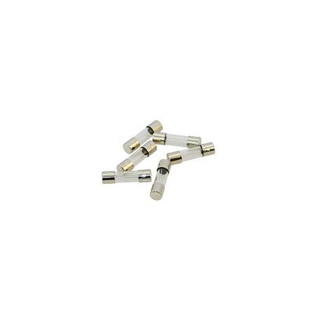 Feinsicherung/Glassicherung 2A 5x20mm 3St.
